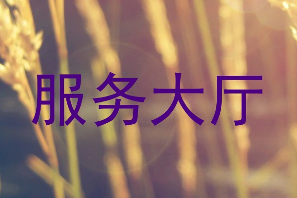 服务大厅