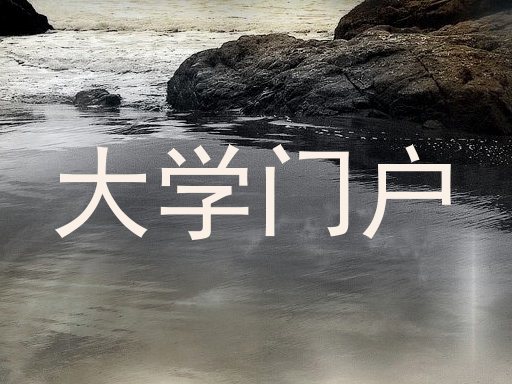 大学门户