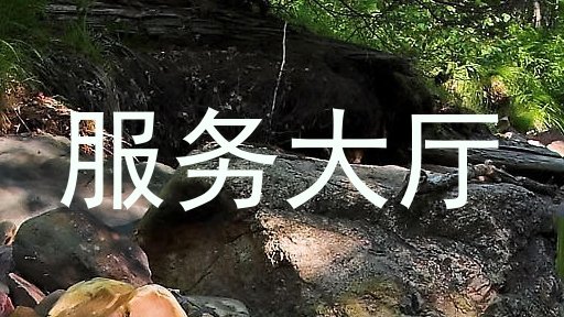 服务大厅