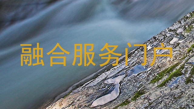 融合服务门户