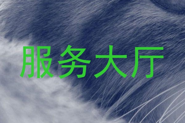服务大厅