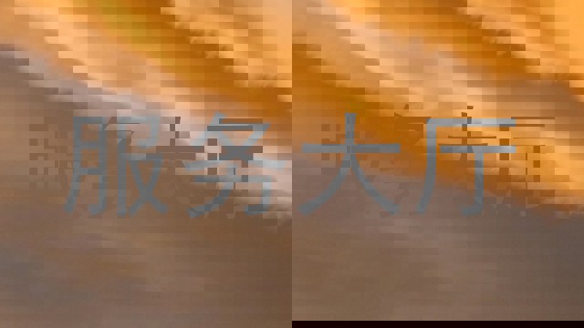 服务大厅