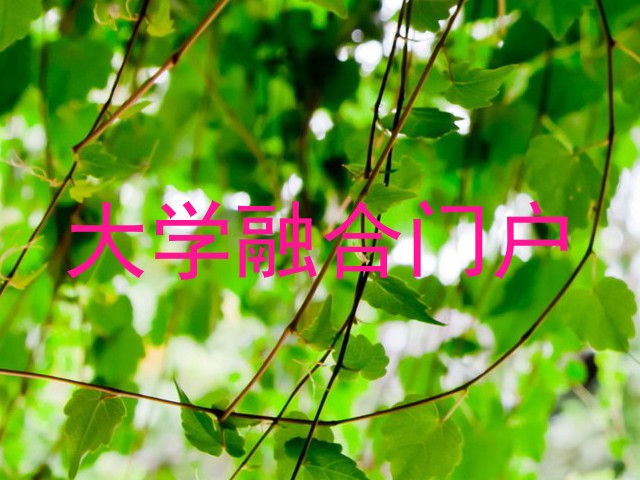 大学融合门户