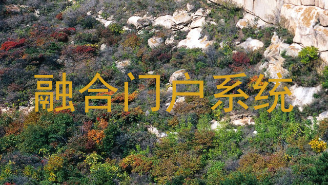 融合门户系统