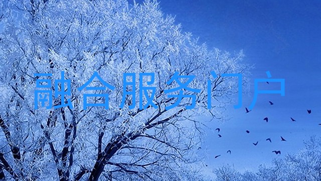 融合服务门户