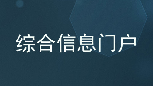 综合信息门户