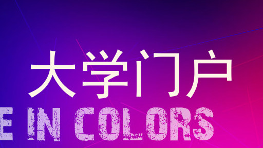 大学门户