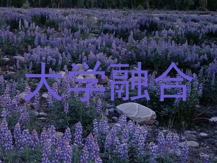 大学融合