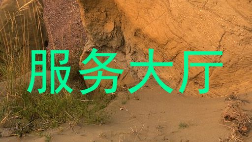 服务大厅
