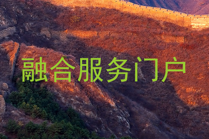 融合服务门户