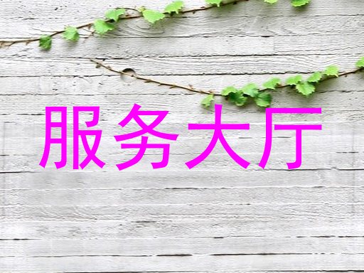 服务大厅