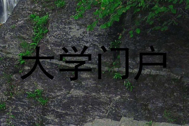 大学门户