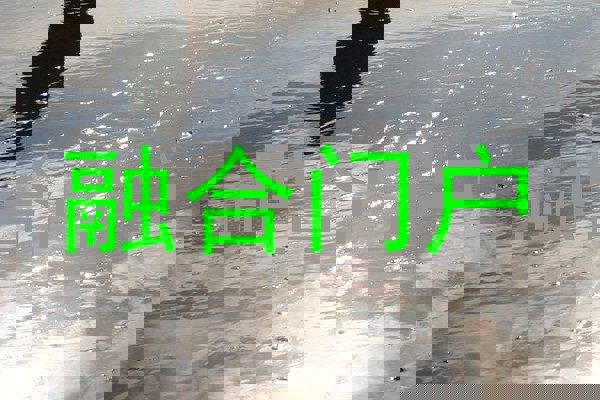 融合门户