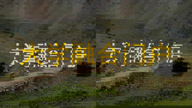 大学融合门户