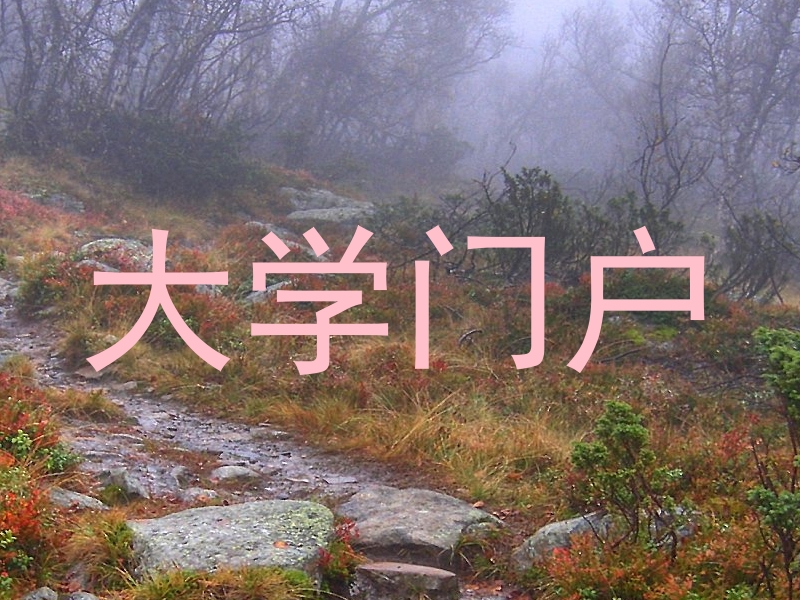 大学门户