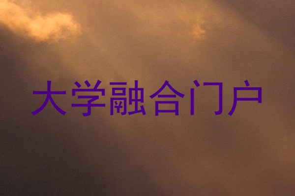 大学融合门户