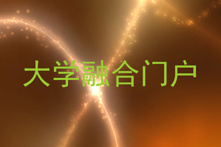大学融合门户