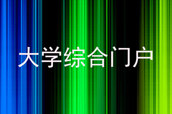 大学综合门户