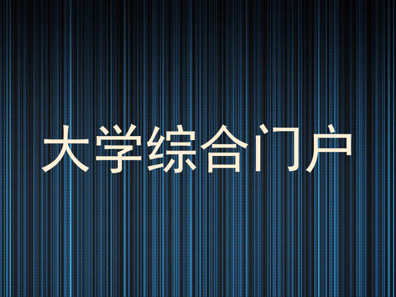 大学综合门户