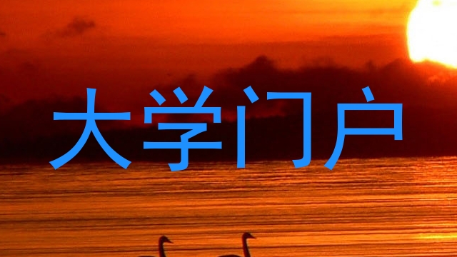 大学门户