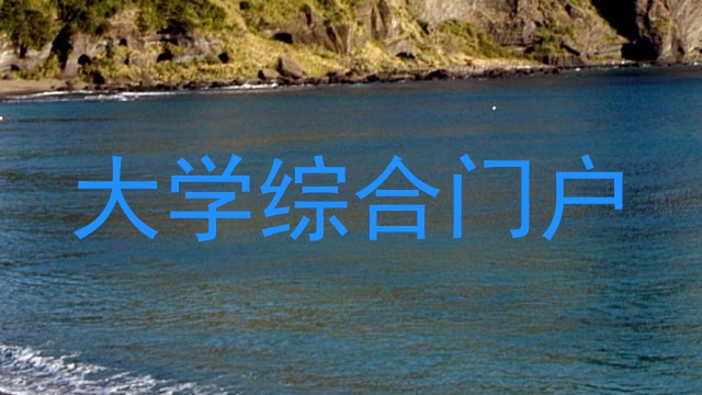 大学综合门户