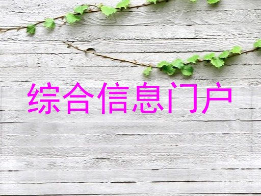 综合信息门户