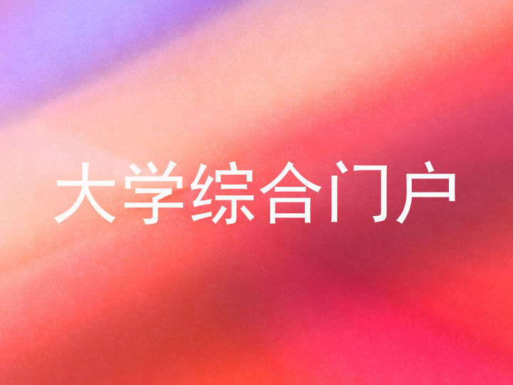 大学综合门户