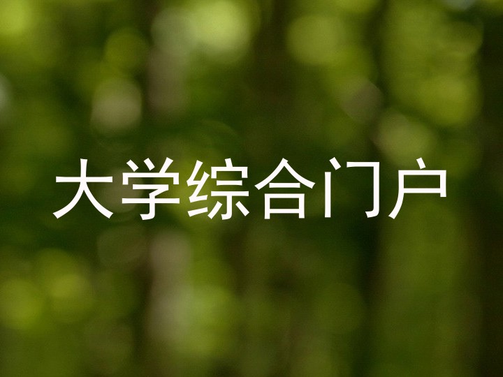 大学综合门户