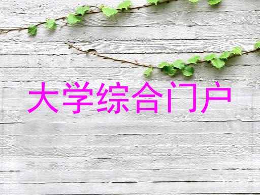 大学综合门户