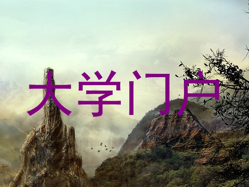 大学门户