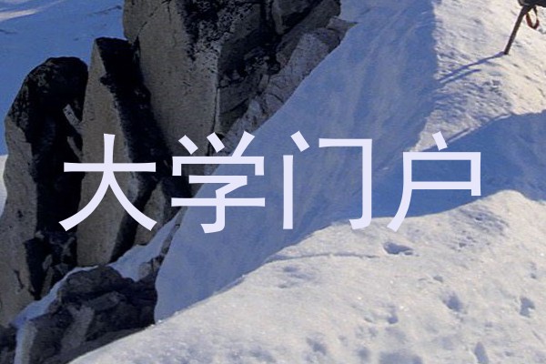 大学门户