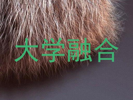 大学融合