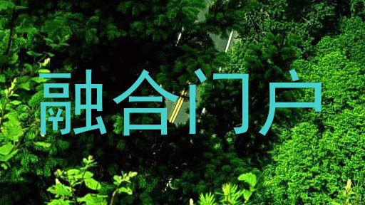 融合门户