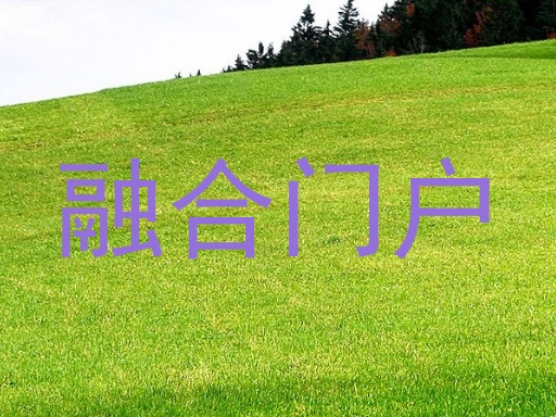 融合门户