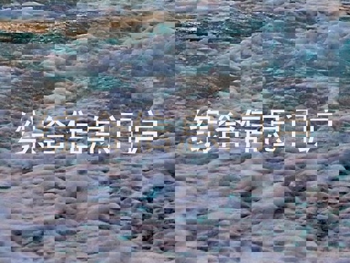 综合信息门户