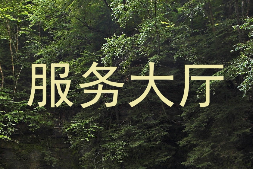 服务大厅