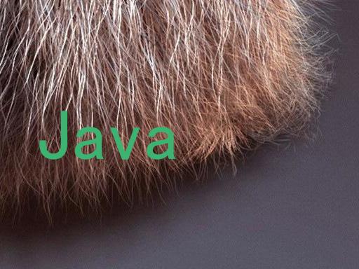 Java