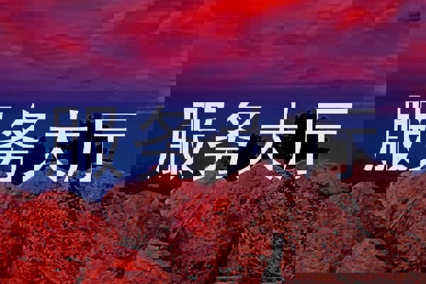 服务大厅