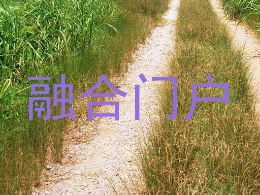 融合门户