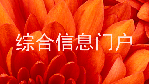 综合信息门户