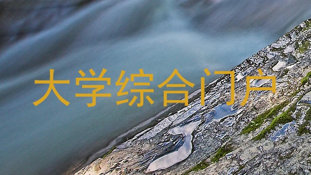 大学综合门户