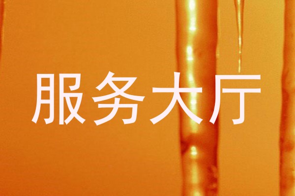 服务大厅