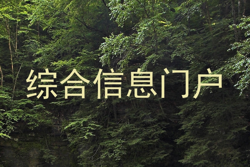 综合信息门户