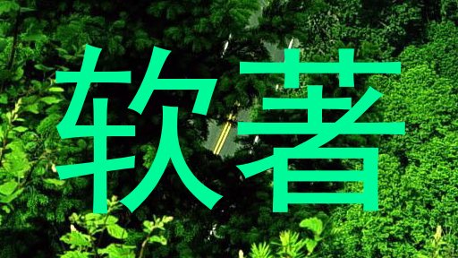 软著