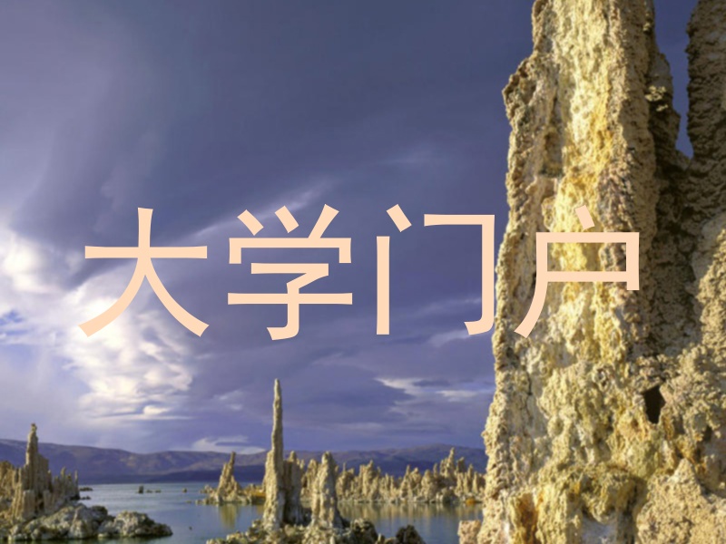 大学门户