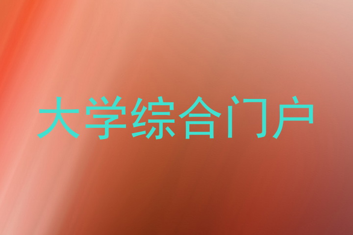 大学综合门户