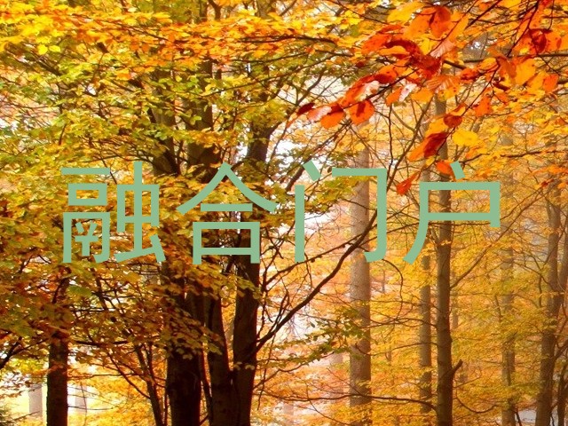 融合门户