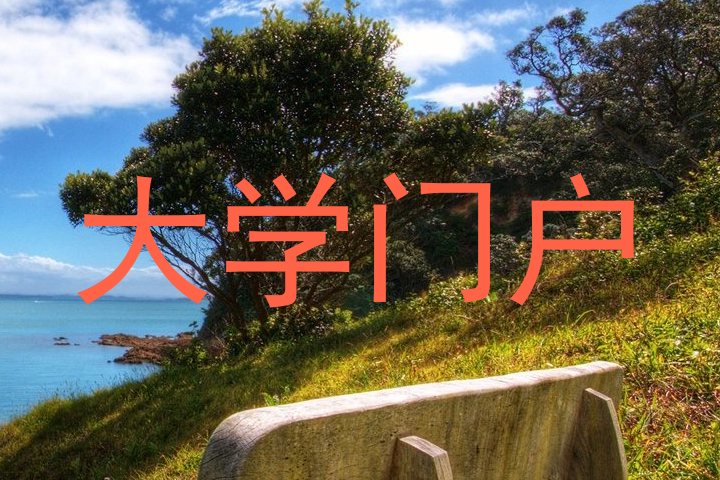 大学门户