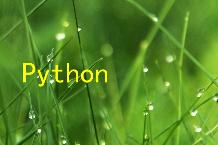 Python