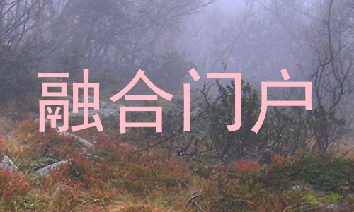 融合门户